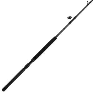 PENN Ally™ II Straight Butt Conventional Boat Rod